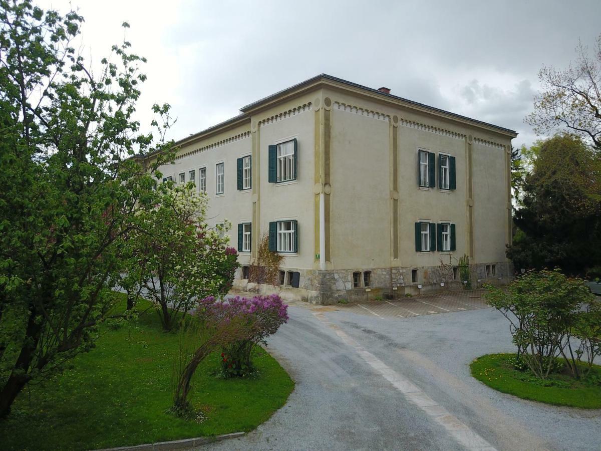 Blue Flat By Grazrentals Best Location & Free Parking Εξωτερικό φωτογραφία